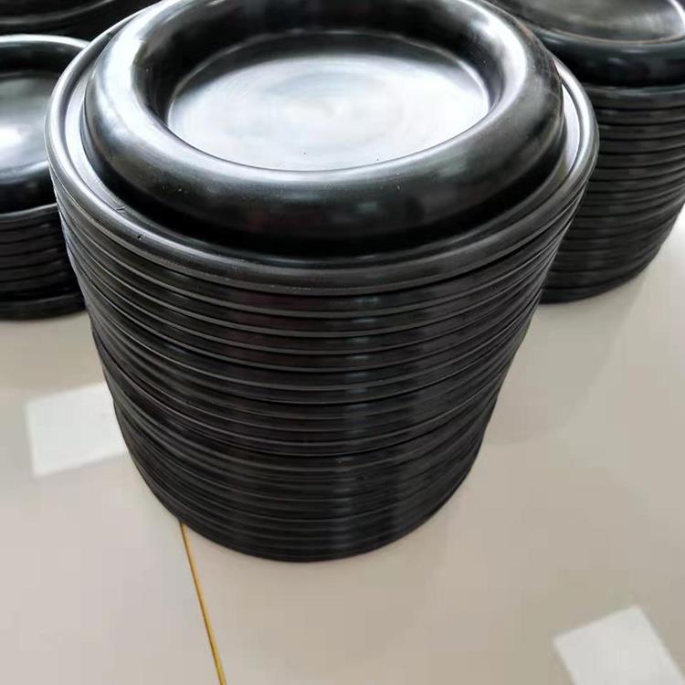 diafragma diaphragm