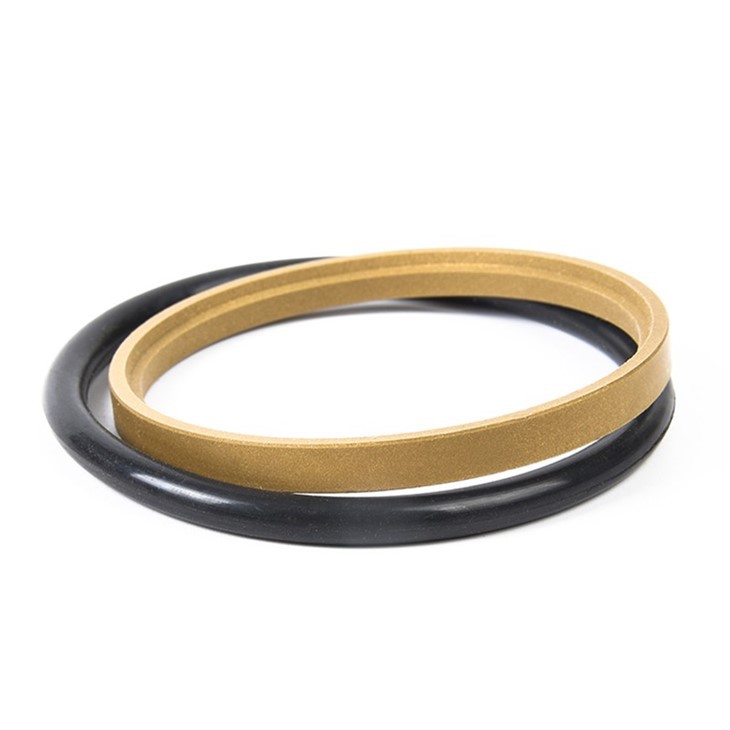 PTFE Bronze Glyd Ring Step Seal