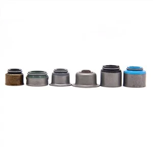 Mootorratta varuklapi õlitihend